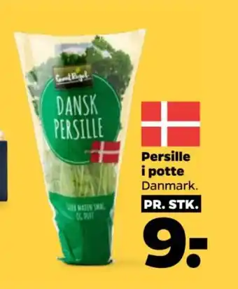 Netto Persille i potte Danmark. tilbud