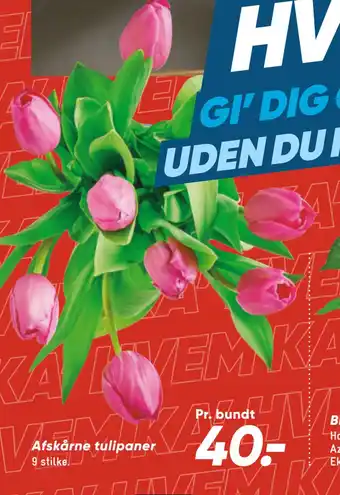 Bilka Afskårne tulipaner tilbud