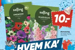 Bilka Blomsterløg tilbud