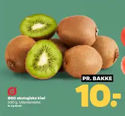 Netto ØGO økologiske kiwi tilbud