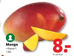 Lidl Mango tilbud