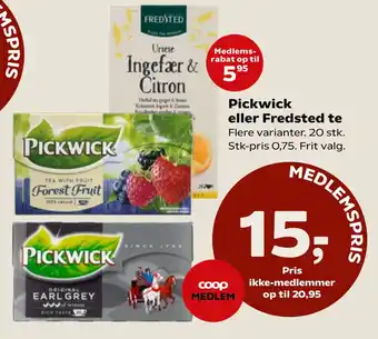 Kvickly Pickwick eller Fredsted te tilbud