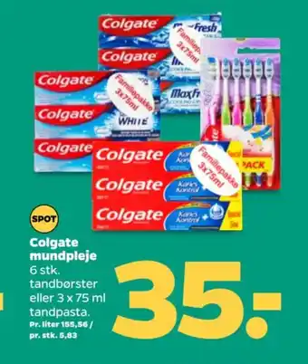 Netto Colgate mundpleje 6 stk. tilbud