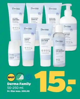 Netto Derma Family tilbud