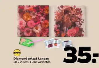 Netto Diamond art på kanvas tilbud