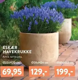 Plantorama ESKÆR HAVEKRUKKE tilbud