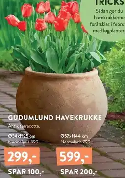 Plantorama GUDUMLUND HAVEKRUKKE tilbud