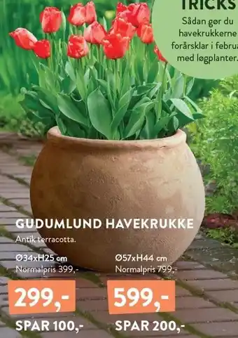 Plantorama GUDUMLUND HAVEKRUKKE tilbud