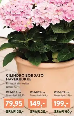 Plantorama CILINDRO BORDATO HAVEKRUKKE tilbud