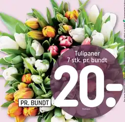 REMA 1000 Tulipaner tilbud