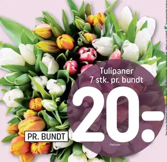 REMA 1000 Tulipaner tilbud