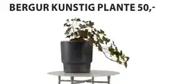 JYSK BERGUR KUNSTIG PLANTE tilbud