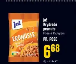 Otto Duborg ja! Krydrede peanuts tilbud