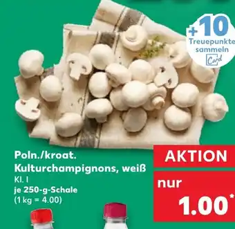 Kaufland Poln./kroat. Kulturchampignons, weiß tilbud