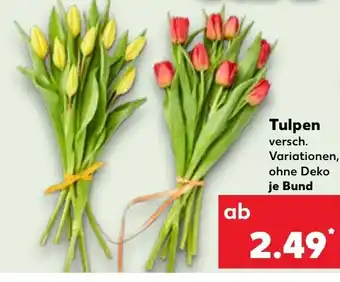 Kaufland Tulpen tilbud