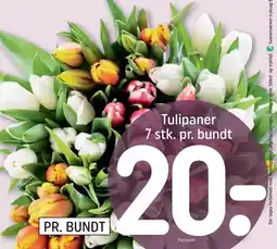 REMA 1000 Tulipaner 7 stk. pr. bundt tilbud