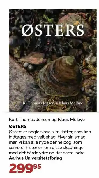 Østers