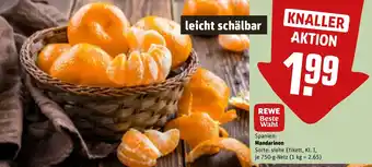 REWE Spanien: Mandarinen tilbud