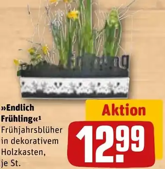 REWE >>>Endlich Frühling<<1 Frühjahrsblüher in dekorativem Holzkasten, je St. tilbud