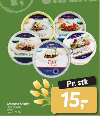 Fakta Tyskland Graasten Salater tilbud