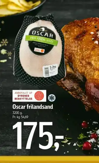 Føtex Oscar frilandsand tilbud