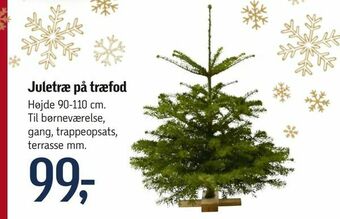 Føtex Juletræ på træfod tilbud