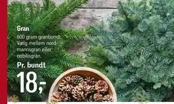 Føtex Gran tilbud