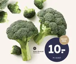 SPAR Gestus Broccoli tilbud