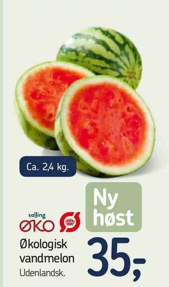 Økologisk vandmelon