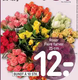 REMA 1000 Roser Flere farver 25 cm tilbud