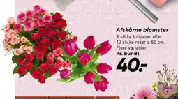 Bilka Afskårne blomster tilbud