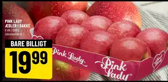 Løvbjerg PINK LADY ÆBLER I BAKKE tilbud