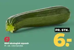 Netto ØGO økologisk squash tilbud