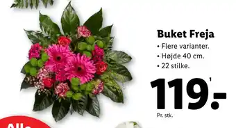 Lidl Buket Freja tilbud