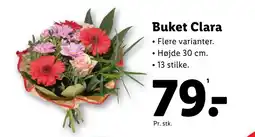 Lidl Buket Clara tilbud