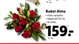 Lidl Buket Alma tilbud