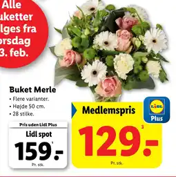 Lidl Buket Merle tilbud