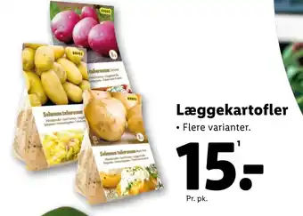 Lidl Læggekartofler tilbud