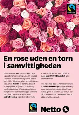 Netto En rose uden en torn i samvittigheden tilbud