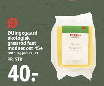 Øllingegaard økologisk græsrod fast modnet ost 45+