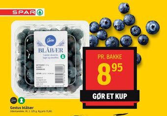 SPAR Gestus blåbær tilbud
