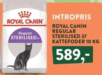 Plantorama ROYAL CANIN REGULAR STERILISED 37 KATTEFODER tilbud