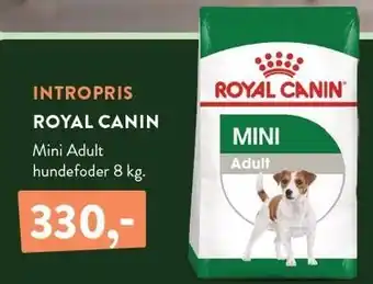 Plantorama ROYAL CANIN tilbud