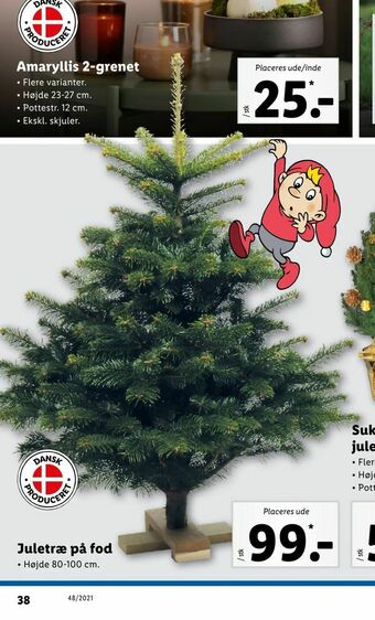 Juletræ på fod