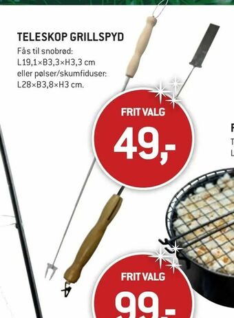 Teleskop grillspyd
