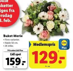 Lidl Buket Merle tilbud