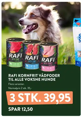 Plantorama RAFI KORNFRIT VÅDFODER TIL ALLE VOKSNE HUNDE tilbud