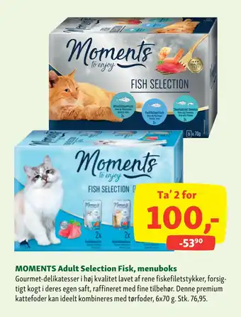 Maxi Zoo MOMENTS Adult Selection Fisk, menuboks tilbud