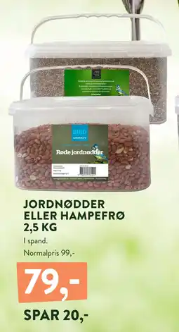 Plantorama JORDNØDDER ELLER HAMPEFRØ 2,5 KG tilbud