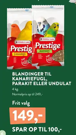 Plantorama BLANDINGER TIL KANARIEFUGL, PARAKIT ELLER UNDULAT tilbud